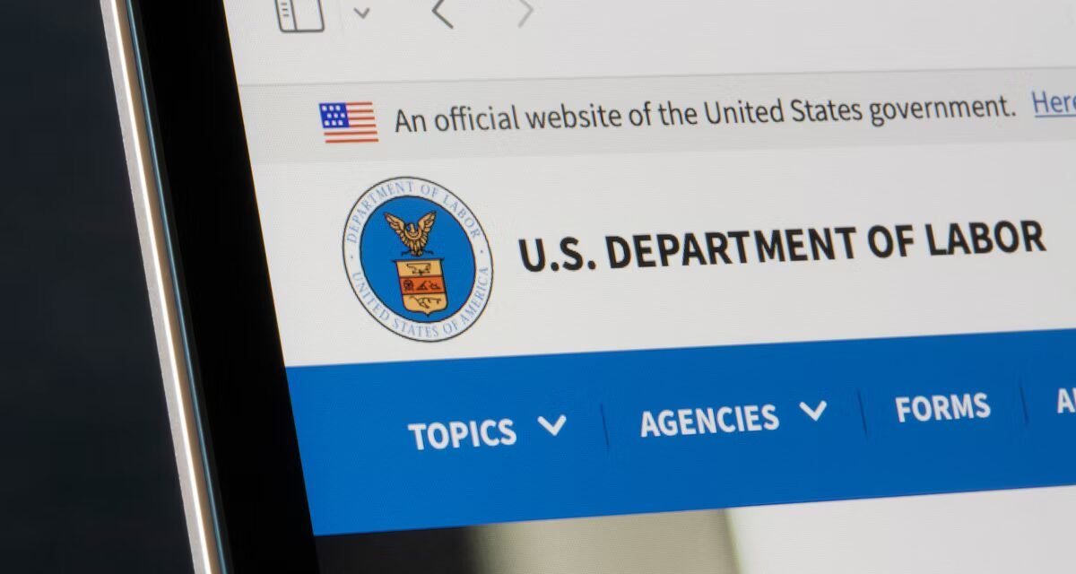 Tⱨe U. Ș. Department of Labor honours$ 86 million to develop workforce education in 14 states.