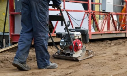 Progress vs. Tax Confusion: ARA Q4 Economic Forecast