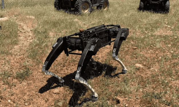 Why are Sunday Robotics limiting Tesla’s Artificial abilities?