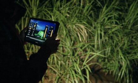 Double LED lights and warning lights make the 5th generation of the iPhone Armor Pad smart.