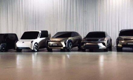 The promise of an electric car sounds best, but regular driving reveals something else.