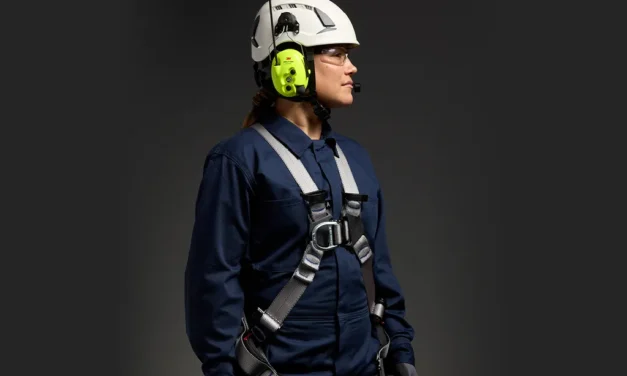 Whitepaper: Bringing the 3M Integrated Protection Programme: Working Up