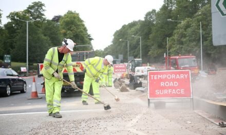 ALARM reports a £19 billion highway repair delay.
