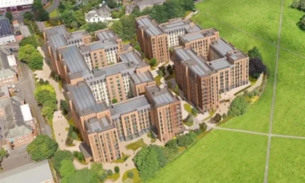 Earnings and revenue increase for Bowmer & Kirkland