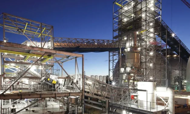 Previous parent of a failed rank one company is plagued by defect statements.