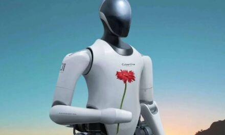 How China’s “Black Site visitors” Trade Focused Xiaomi