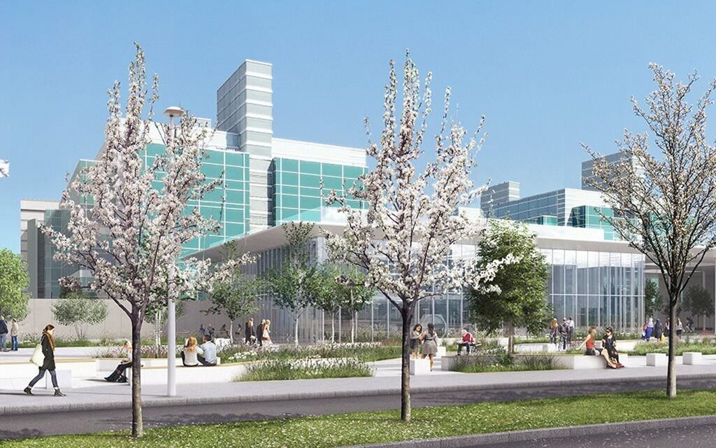 Harlow Health Security school system revived by consumer