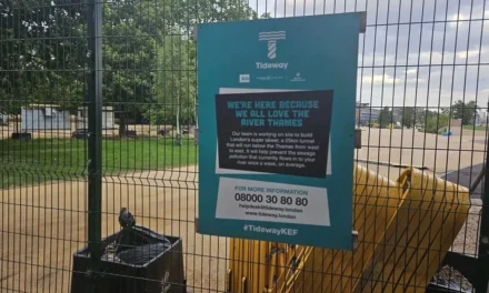 Due to fraud and site theft, Tunnelway Park’s opening was delayed.