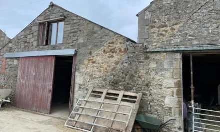 Creating company fined after a bricklayer’s back was broken in the fall.